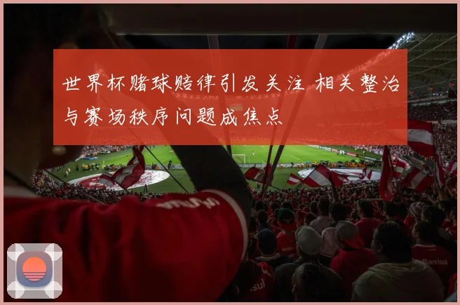 世界杯赌球赔律引发关注 相关整治与赛场秩序问题成焦点