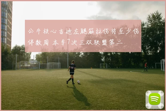 公牛核心吉迪左腿筋拉伤将至少伤停数周 本季7次三双联盟第二