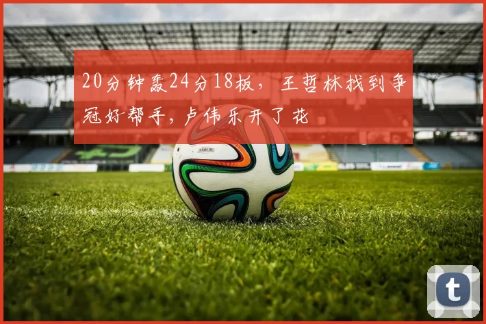 20分钟轰24分18板,王哲林找到争冠好帮手,卢伟乐开了花