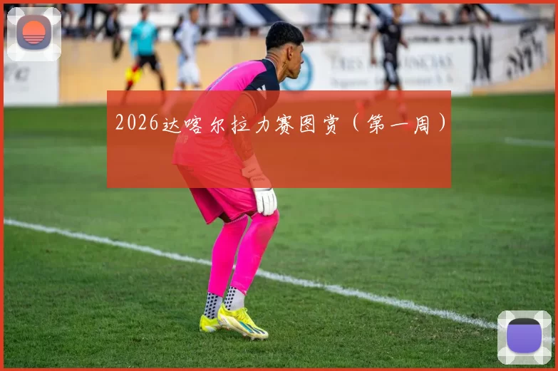 2026达喀尔拉力赛图赏（第一周）